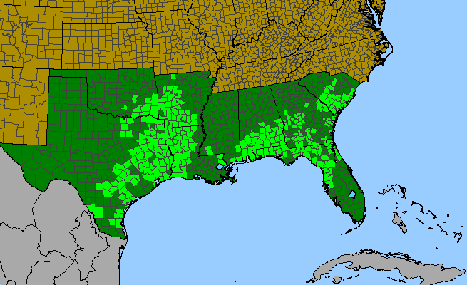 The range of Liatris elegans var. elegans
